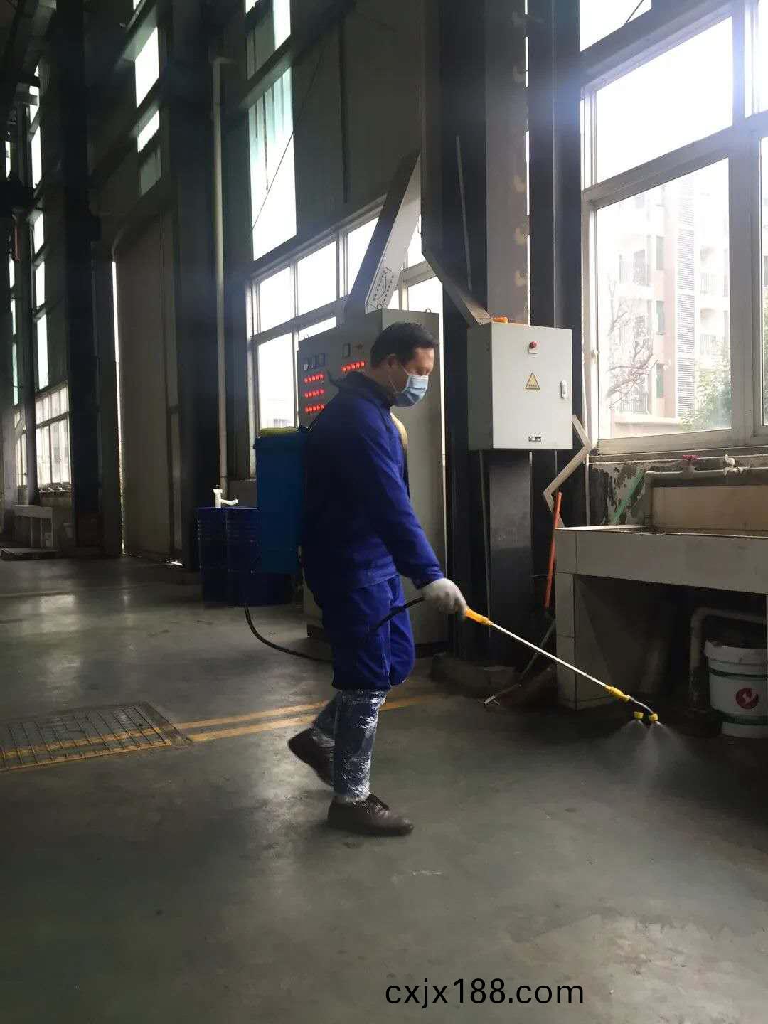 zz
